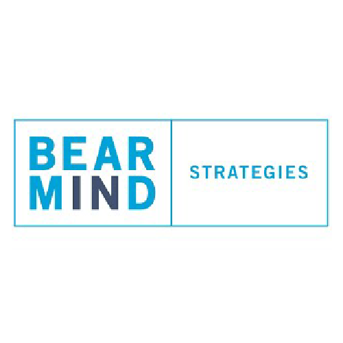 Bear in Mind Strategies, LLC